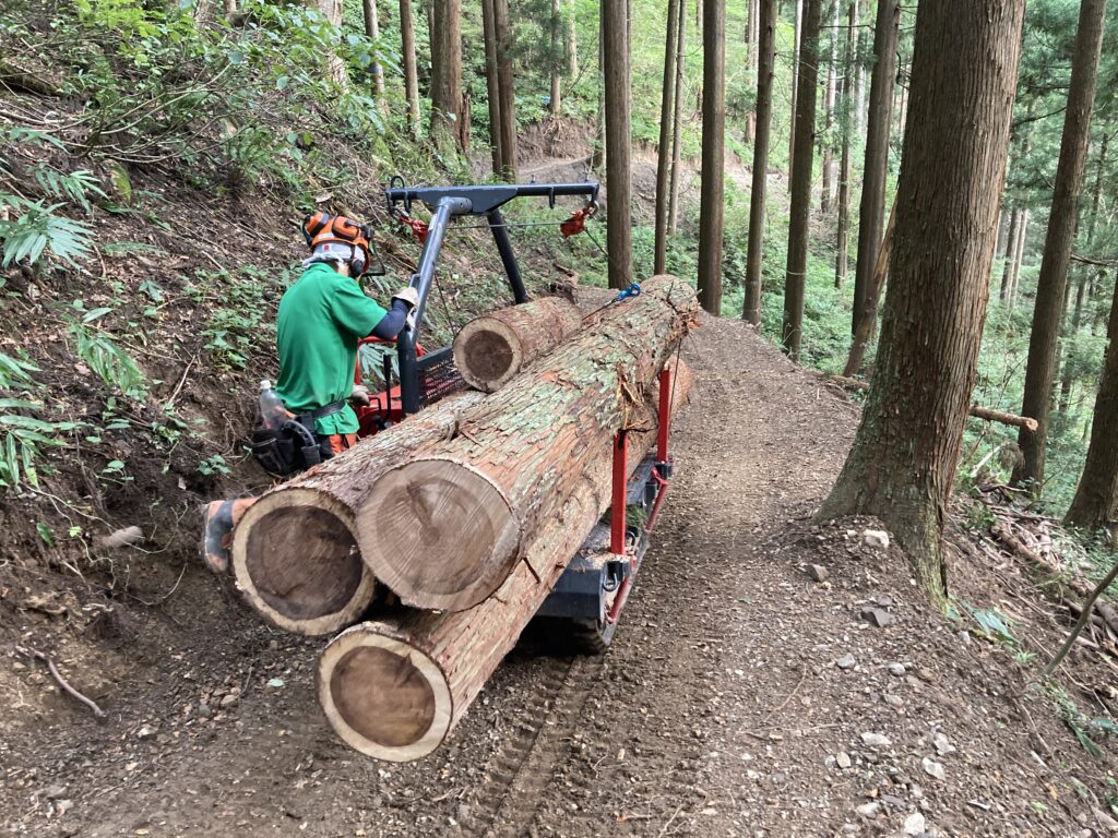 林内間伐材の搬出作業